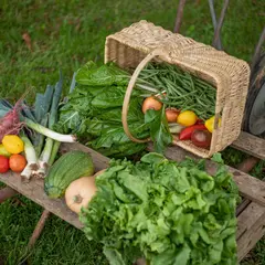Marché des Producteurs de Pays à Cherveux