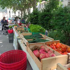 Marché Des Producteurs De Pays à Lodève