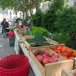 Marché Des Producteurs De Pays à Lodève