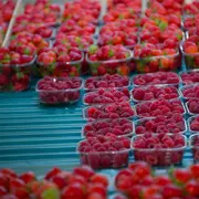 Marché des Producteurs de Pays de Beynac-et-Cazenac