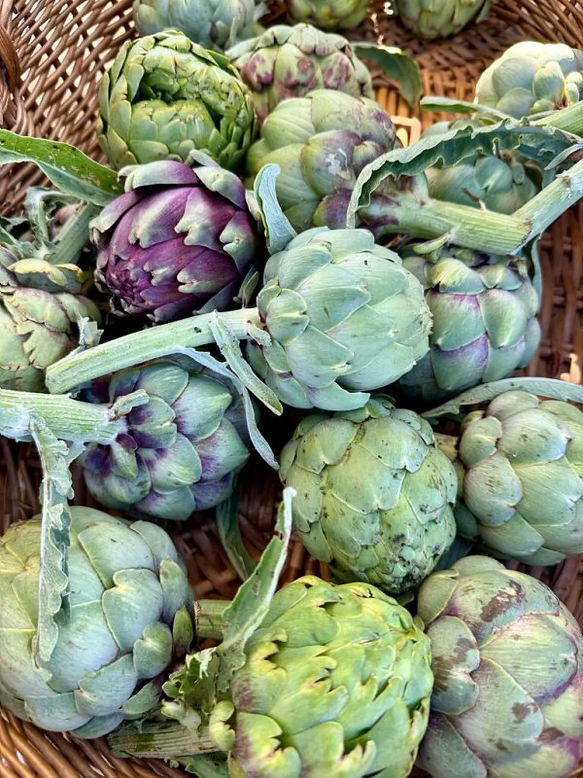Marché des producteurs et artisans locaux d'Entressen
