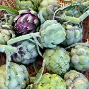 Marché des producteurs et artisans locaux d'Entressen