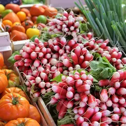 Marché des Producteurs locaux