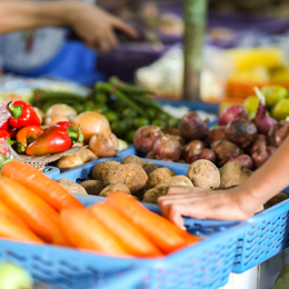 Marché du Lonzac