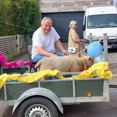 Marche du mouton