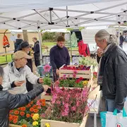 Marché Du Printemps