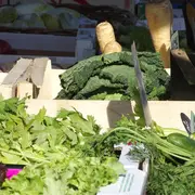 Marché du Terroir et randonnée pédestre