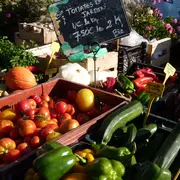 Marché éco-responsable et pêcheurs