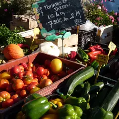 Marché éco-responsable et pêcheurs