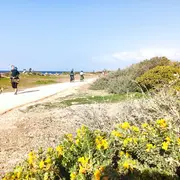 Marche en boucle Carro-Carro