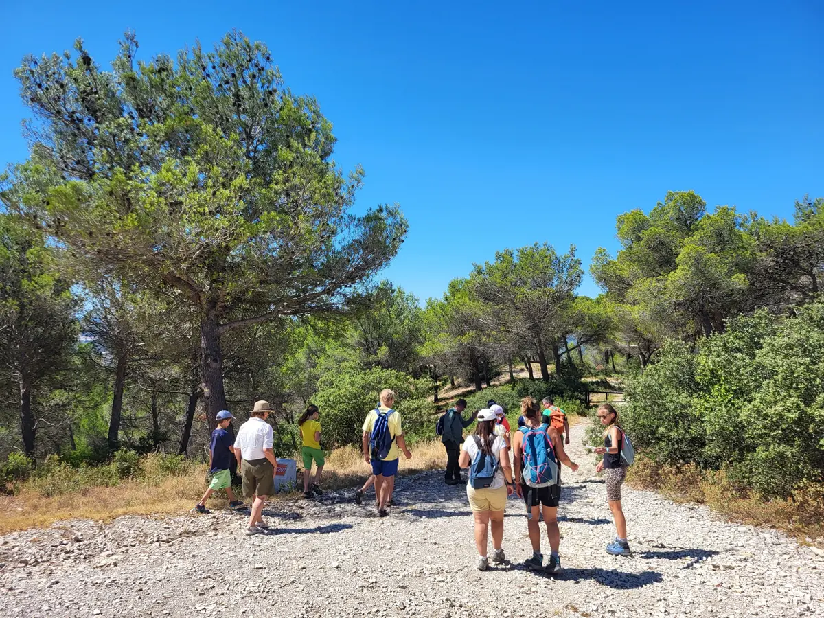 Marche en colline à la découverte de la nature méditerranéenne
