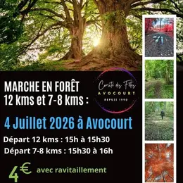 Marche en forêt à Avocourt