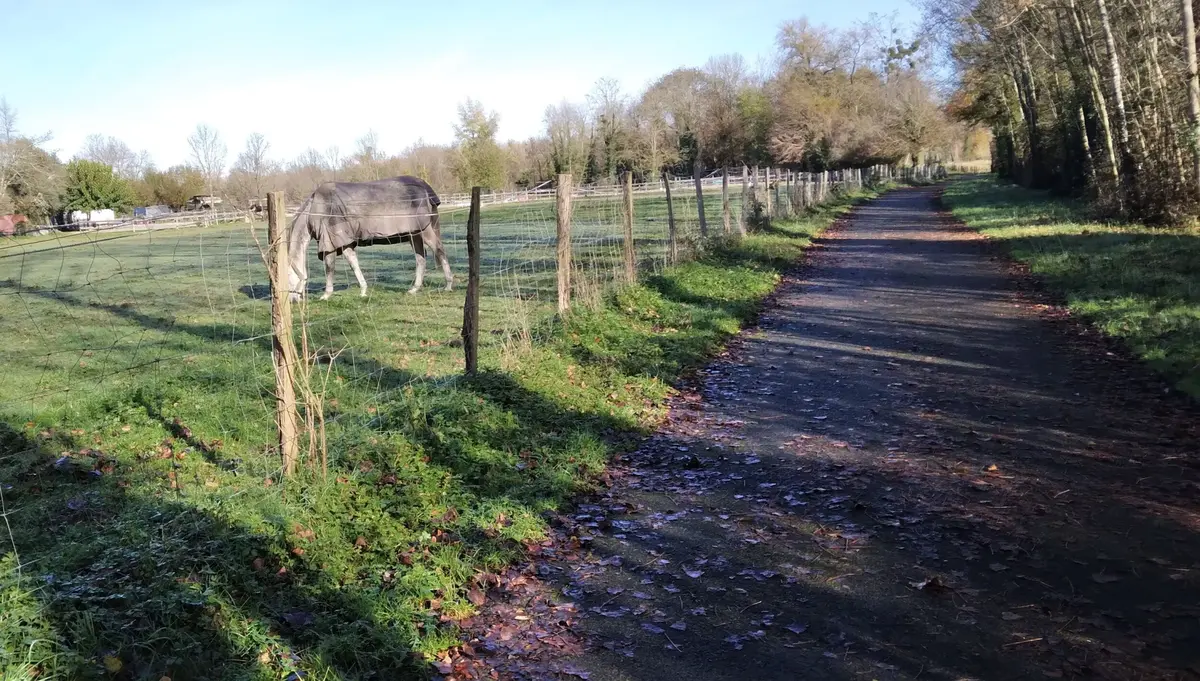 Marche en plaine (Téléthon)