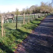 Marche en plaine (Téléthon)