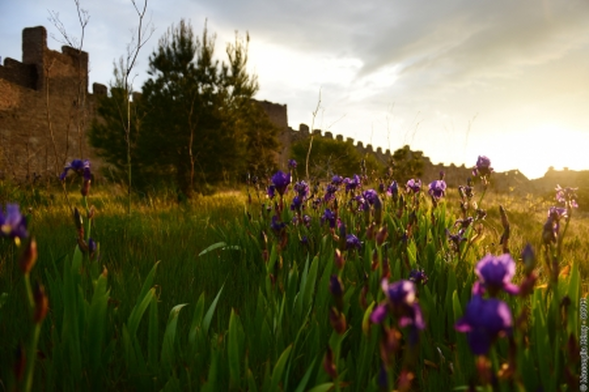Marche Entre Garrigue Et Plaine Viticole 