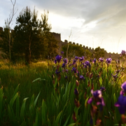 Marche Entre Garrigue Et Plaine Viticole 
