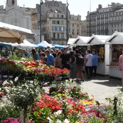 Marché estival