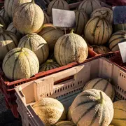 Marché estival de Montcabrier