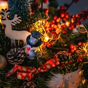 Marché et ferme de Noël