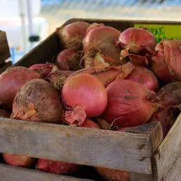 Marché fermier