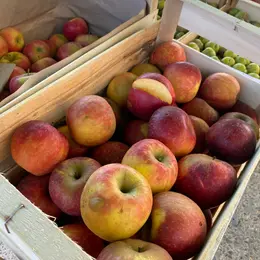 Marché gourmand animé