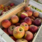 Marché gourmand animé