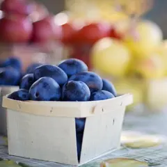 Marché gourmand festif bio