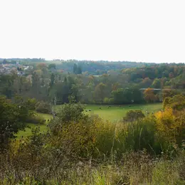 Marche gourmande