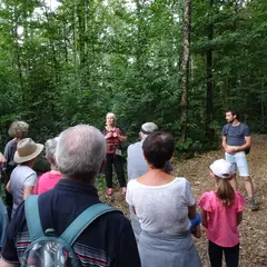 Marche gourmande à Fénery