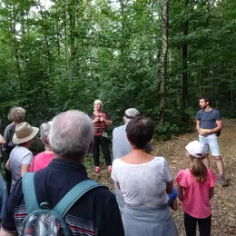 Marche gourmande à Fénery
