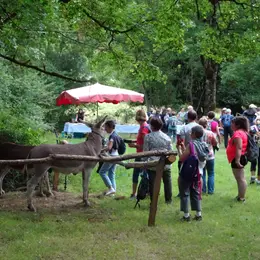 Marche gourmande à Pougne-Hérisson