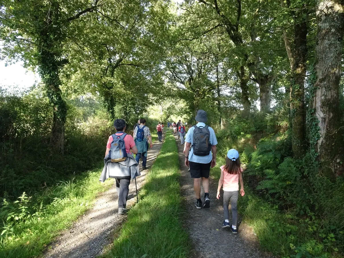 Marche gourmande à Saurais