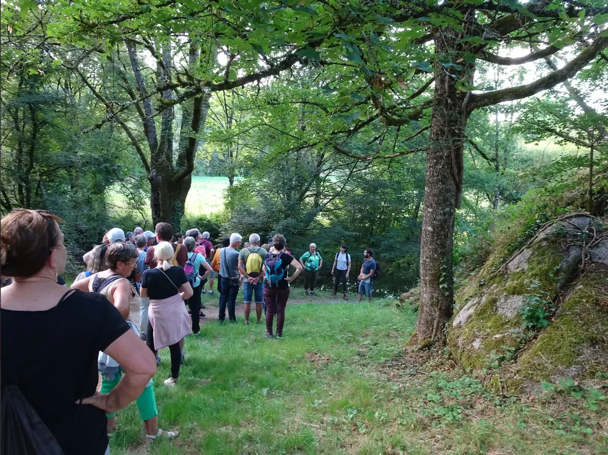 Marche gourmande à Vasles