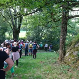 Marche gourmande à Vasles