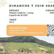 Marche gourmande des Côtes de Toul