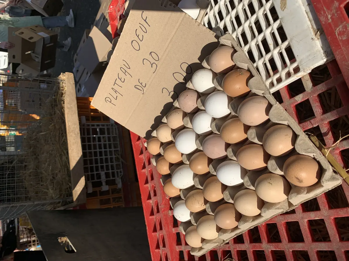 Marché hebdomadaire