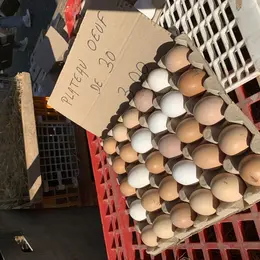 Marché hebdomadaire