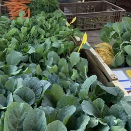 Marché hebdomadaire