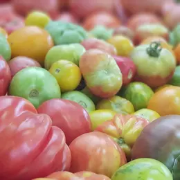 Marché hebdomadaire