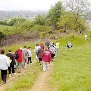 Marche - La balade des Trois Pouys