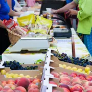 Marché Le Pouget