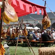 Orléans : notre sélection de sorties du week-end du 8 au 10 mai 2026