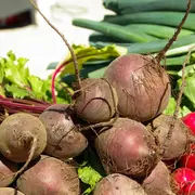 Marché mensuel du Châtenet en Dognon