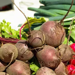 Marché mensuel du Châtenet en Dognon