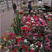 Marché Michelet