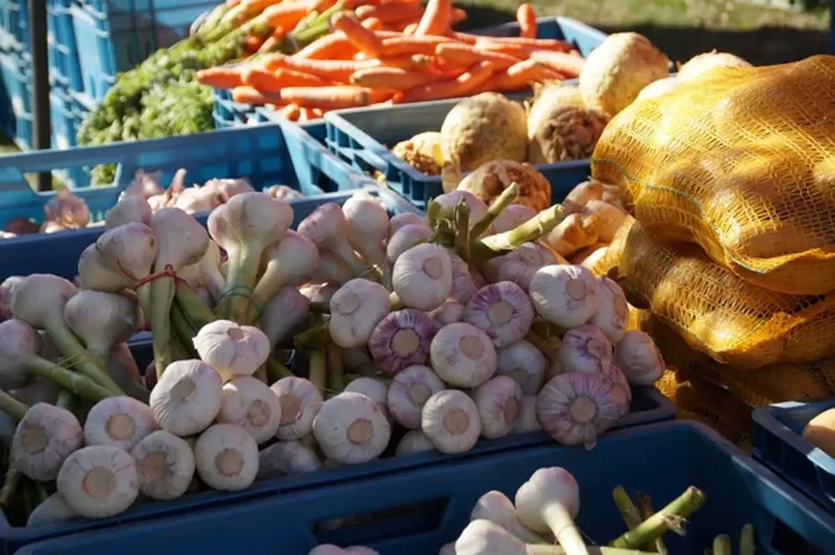 Marché nocturne