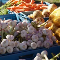 Marché nocturne