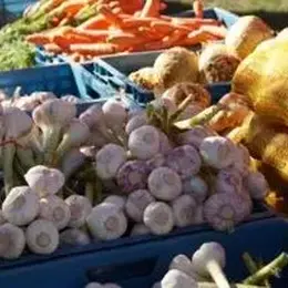 Marché nocturne