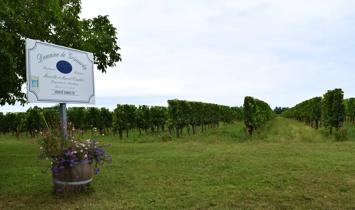 Marche nordique et dégustation | Domaine de Grimardy