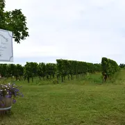 Marche nordique et dégustation | Domaine de Grimardy